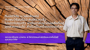 ทีมนักวิจัย ส.วิศวะ วลัยลักษณ์ ค้นพบวิธีอบไม้ปาล์มให้รวดเร็ว ไม่แตกไม่ยุบตัว นำต้นปาล์มน้ำมันเหลือทิ้งสู่อุตสาหกรรมไม้