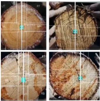 นวัตกรรมตรวจจับไม้