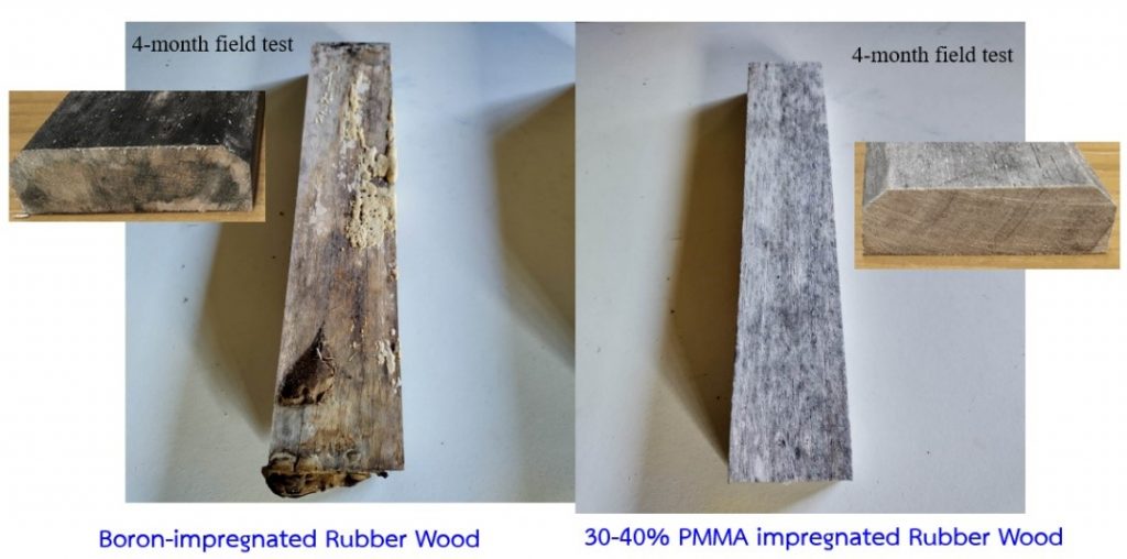 นักศึกษาวิศวะ มวล. คว้าเงินทุน Youth Startup กว่าแสนบาทจาก TED Fund"