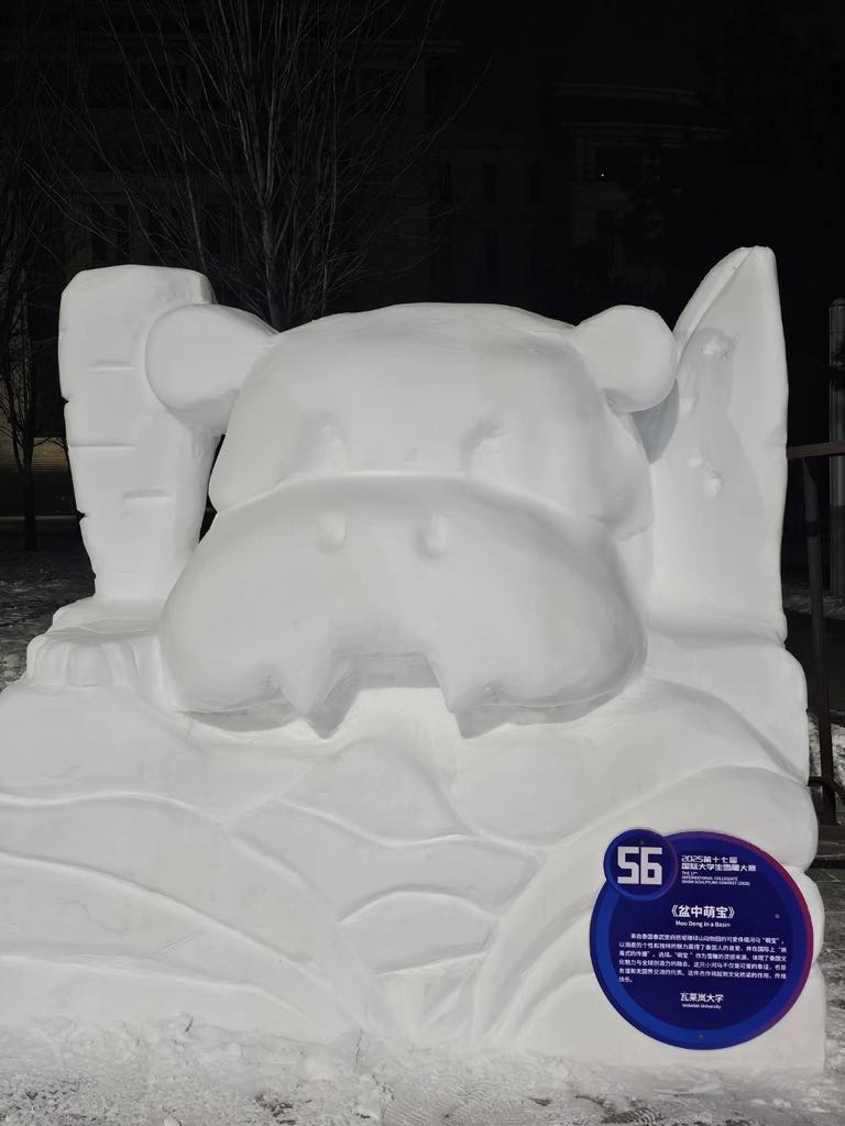 นศ.วิศวะคอมฯ ม.วลัยลักษณ์ ก้าวไกลสู่เวทีโลก!